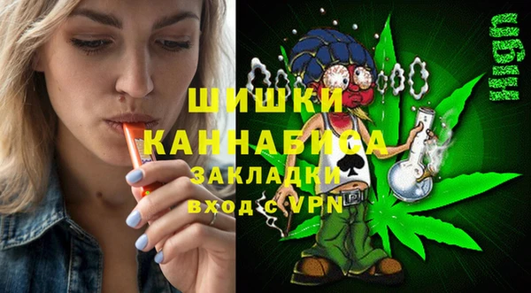 шишки Краснотурьинск