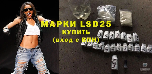 шишки Краснотурьинск