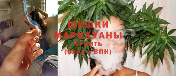 шишки Краснотурьинск