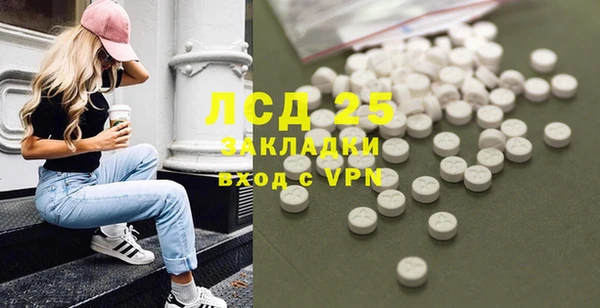 шишки Краснотурьинск