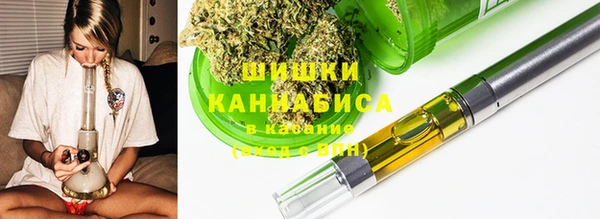 шишки Краснотурьинск