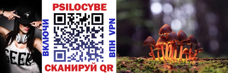 Купить  Магадан  Галлюциногенные грибы Psilocybe 
